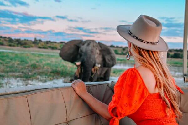 valigia per un safari