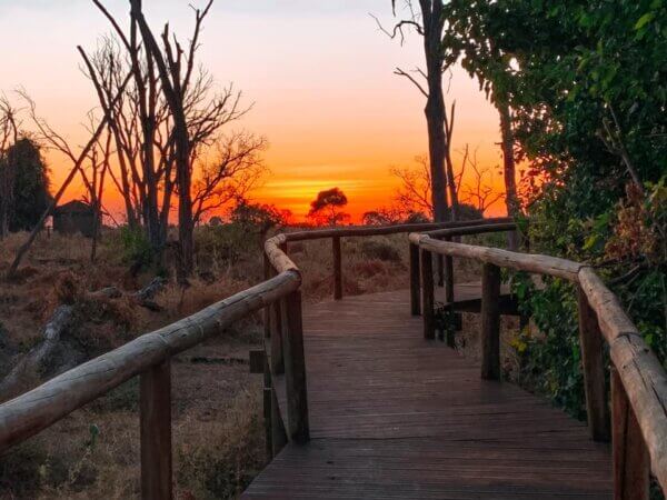 Dove dormire nell'Okavango Delta