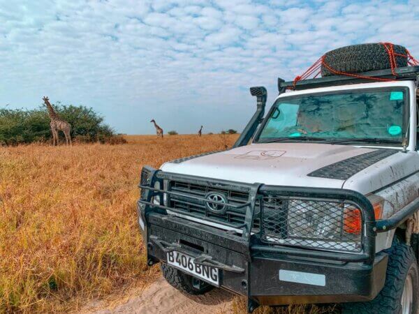 Savuti National Park