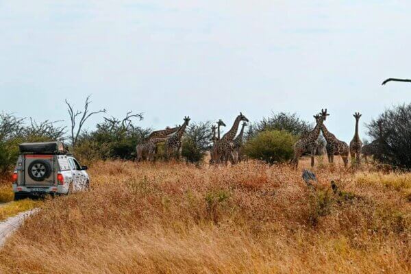Savuti National Park