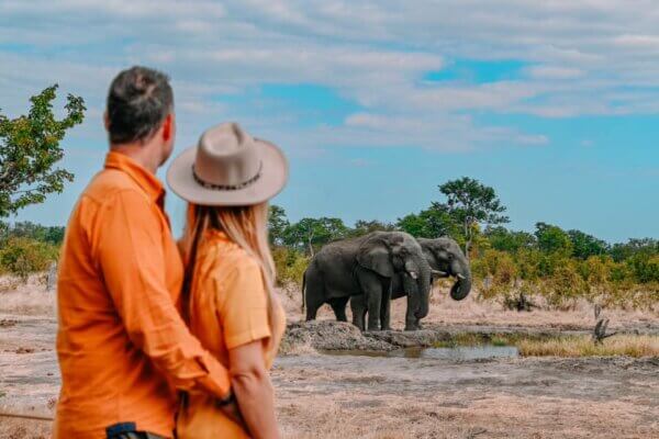 valigia per un safari
