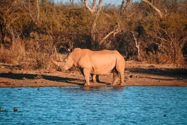 southafrica