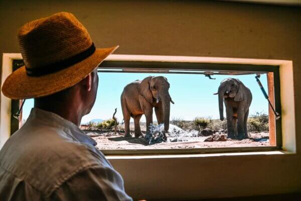 Madikwe Game Reserve