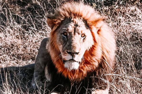 sudafrica