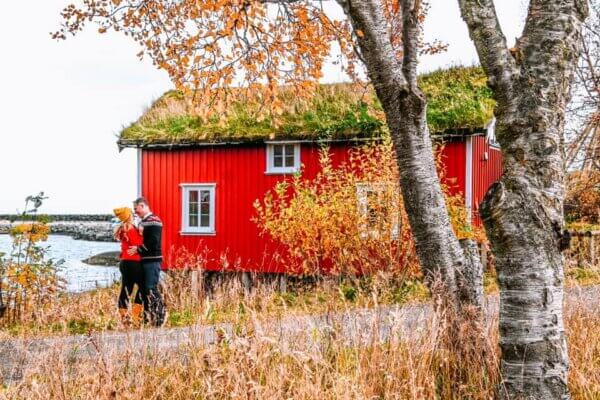 Reine