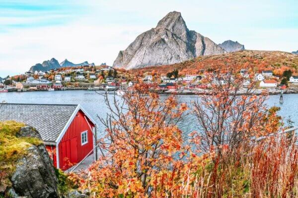 Reine