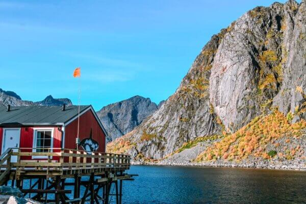 Reine