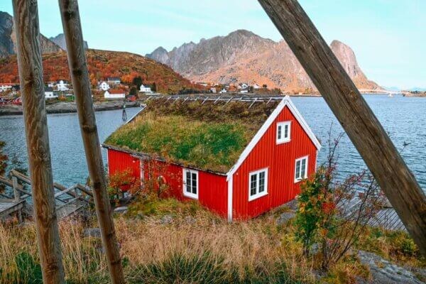 Reine