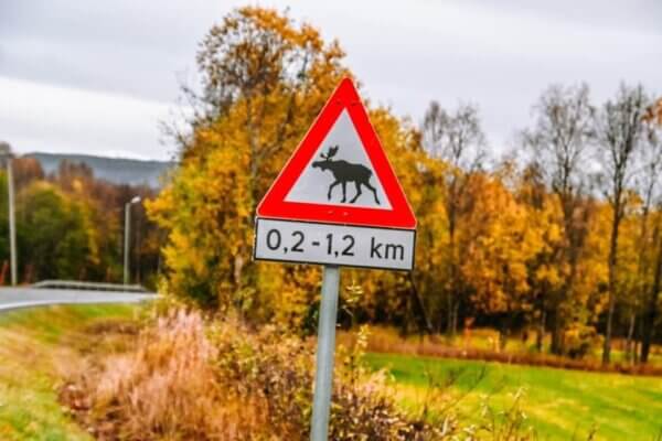 norvegia