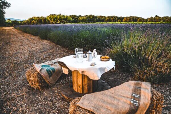 Dove vedere la lavanda in Sardegna