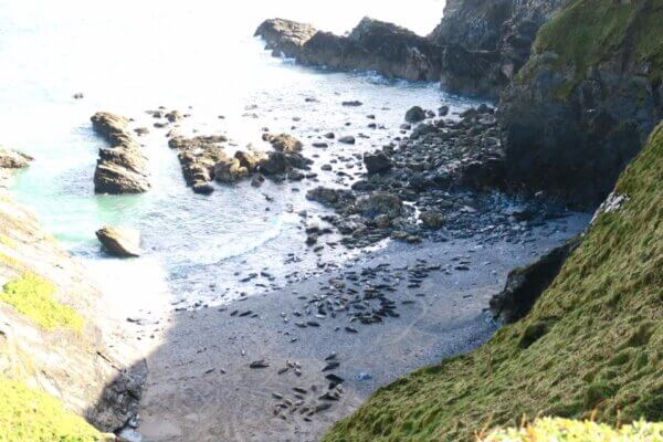 Godrevy Point e Mutton Cove in Cornovaglia