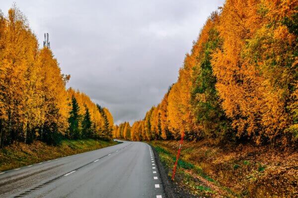 Kvikkjokk
