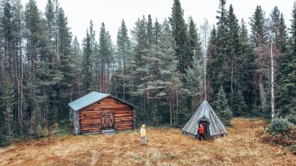 TAIGA FOREST