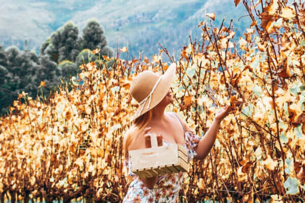 Dove Dormire nello Stellenbosch