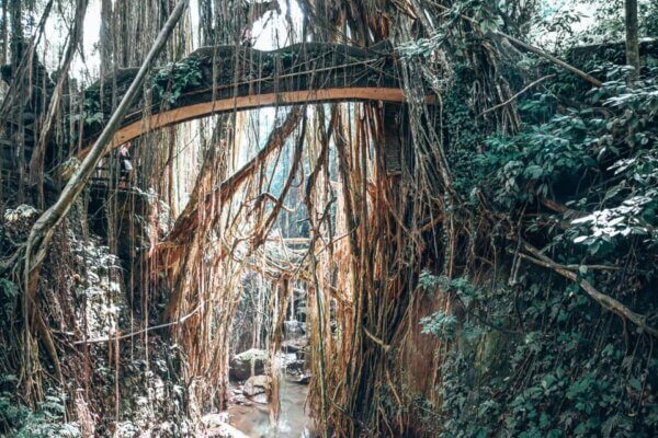 Ubud