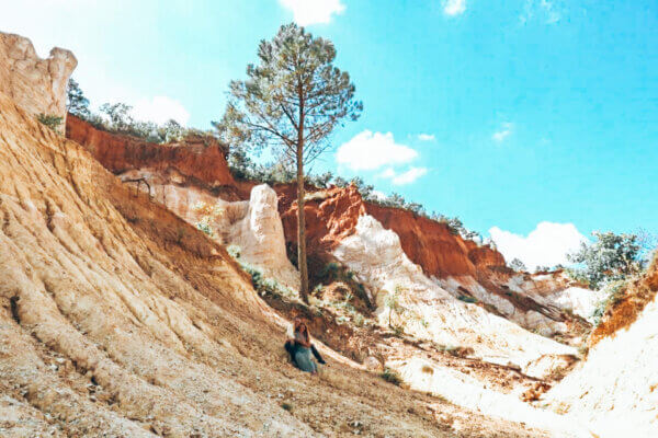 Colorado Provencal