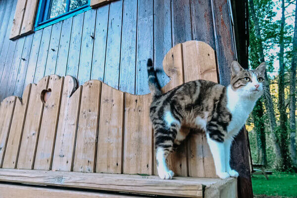 Alloggio insolito in Francia