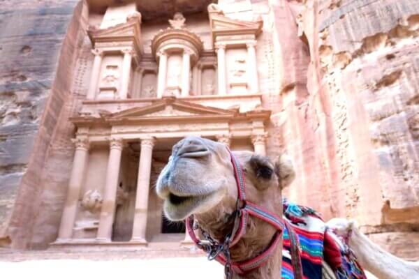 Guida Completa di Petra