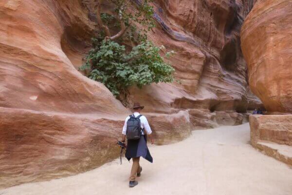 Guida Completa di Petra