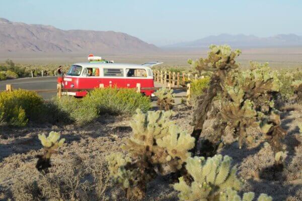 Joshua Tree National Park