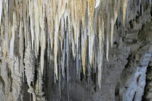 Ruakuri Caves e Waitomo Caves