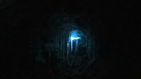 Ruakuri Caves e Waitomo Caves