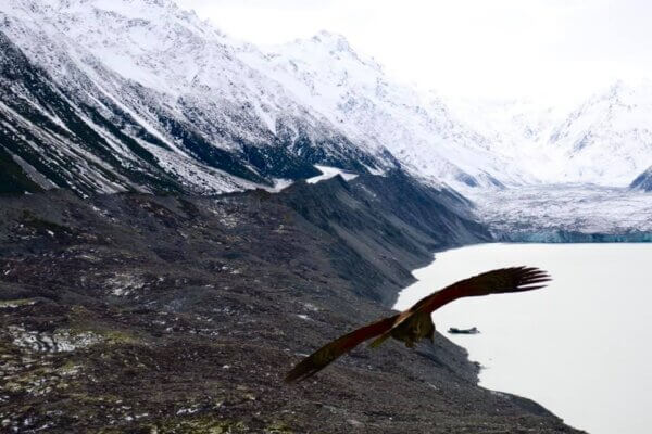 Tasman Glacier