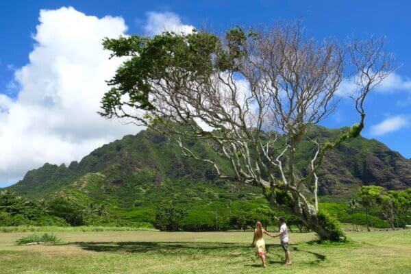South Shore di Oahu