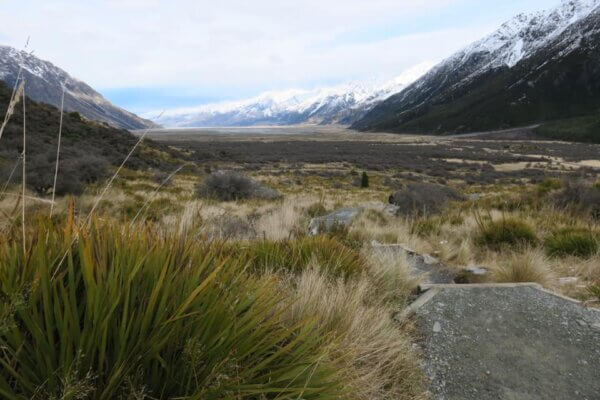 Tasman Glacier
