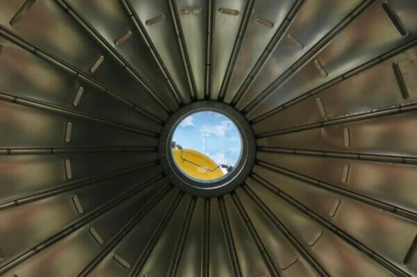 Nuova Zelanda Insolita