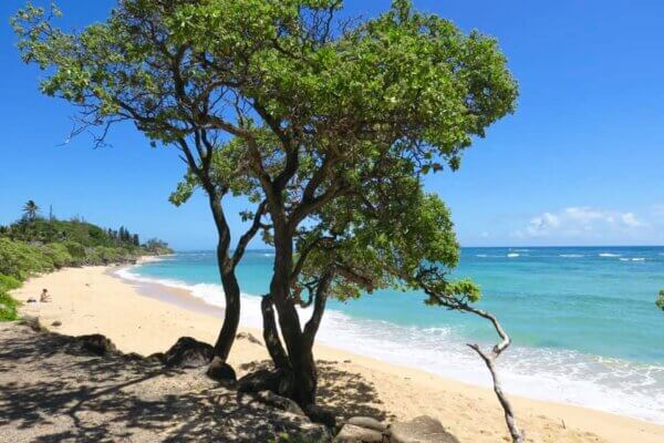 South Shore di Oahu