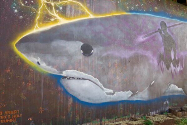 Street Art alle Hawaii