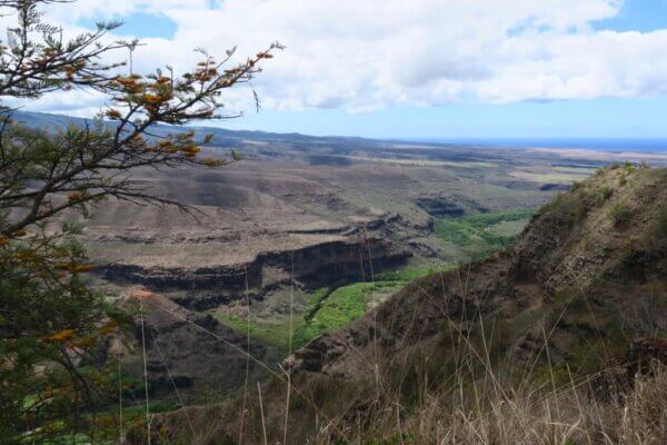 Waimea Canyon State Park