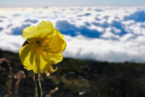 Haleakala Crater