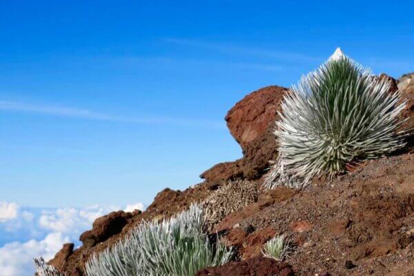 Haleakala Crater