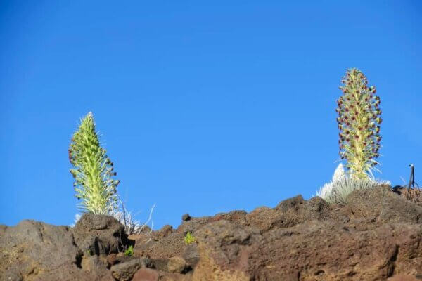 Haleakala Crater