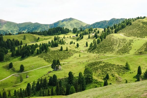 Alpe di Siusi