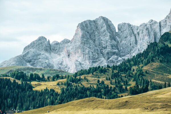 TRENTINO