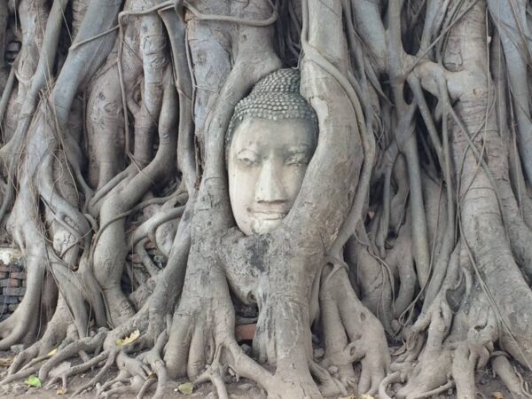 ayutthaya