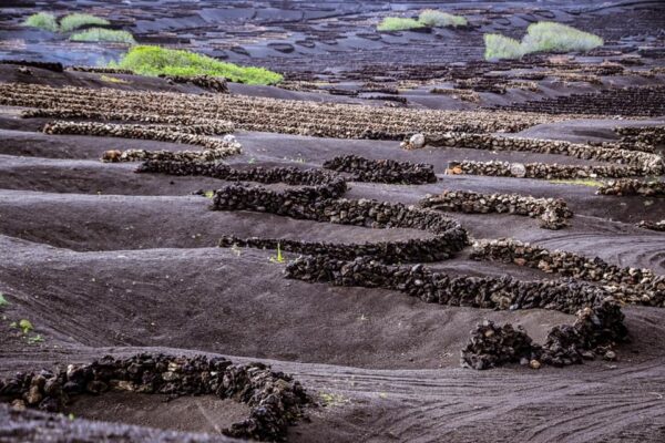 lanzarote