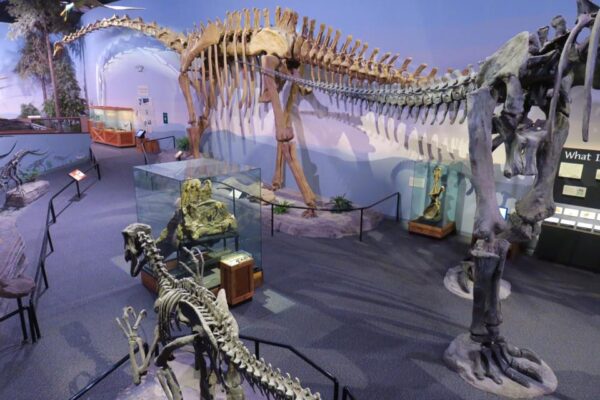 Museum of Ancient Life