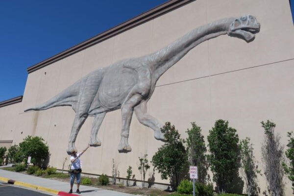Museum of Ancient Life