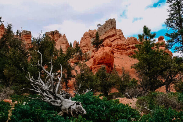 Red Canyon