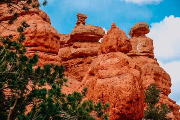 Red Canyon