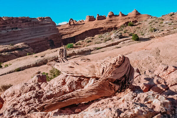 ARCH NATIONAL PARK