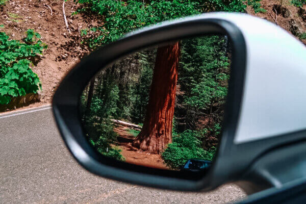 Sequoia National Park