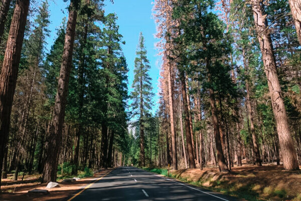 Yosemite National Park