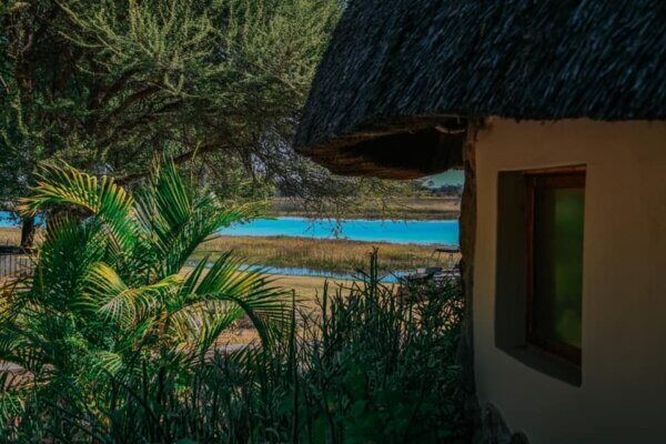 Dove Dormire a Maun