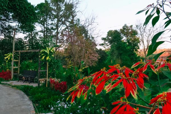 Kalaw Heritage Hotel