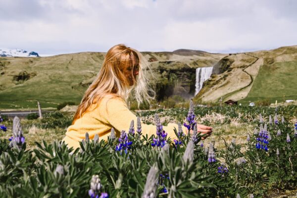 skogafoss